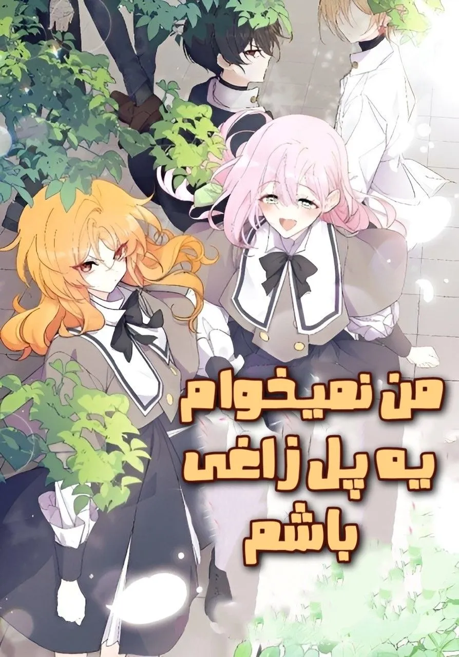 من نمیخوام یه پل زاغی باشم